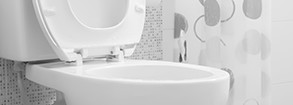 Close up of clean toilet