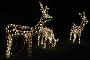 three reindeer holiday lights