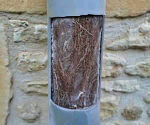 Tree roots clogging a pipe of a house.