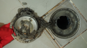 Shower drain clogged with buildup and hair.