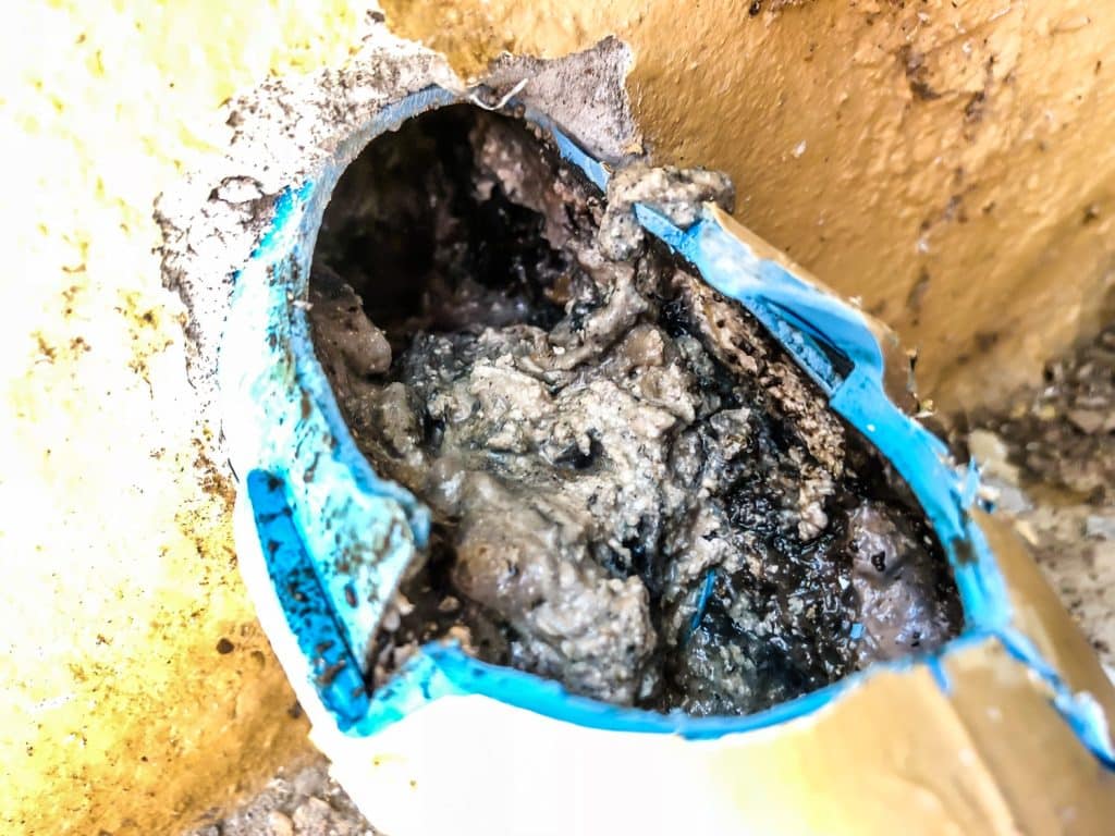 Close-up of a severely clogged blue sewer pipe filled with dark sludge, debris, and buildup.